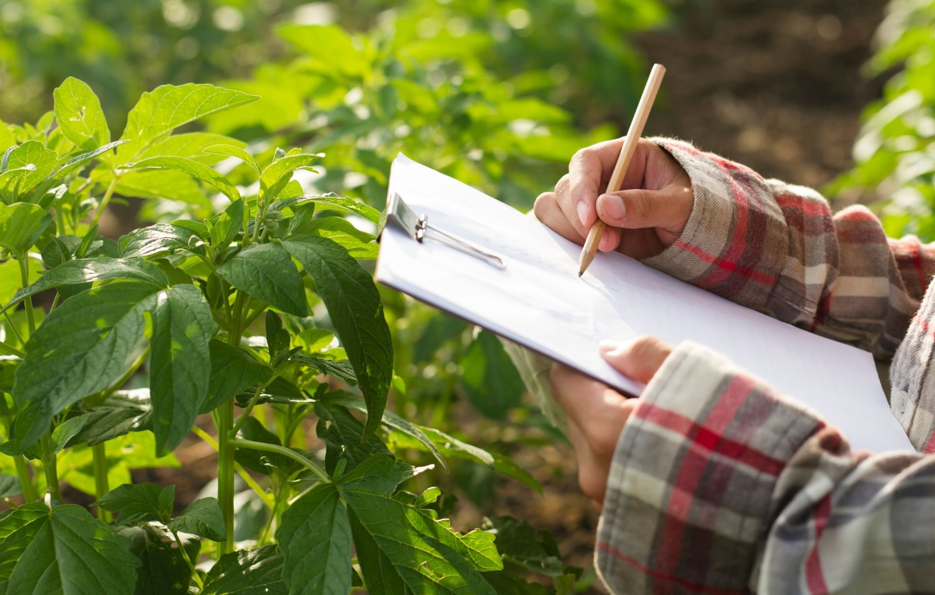 Agricultura: é hora de começar a fazer diferente