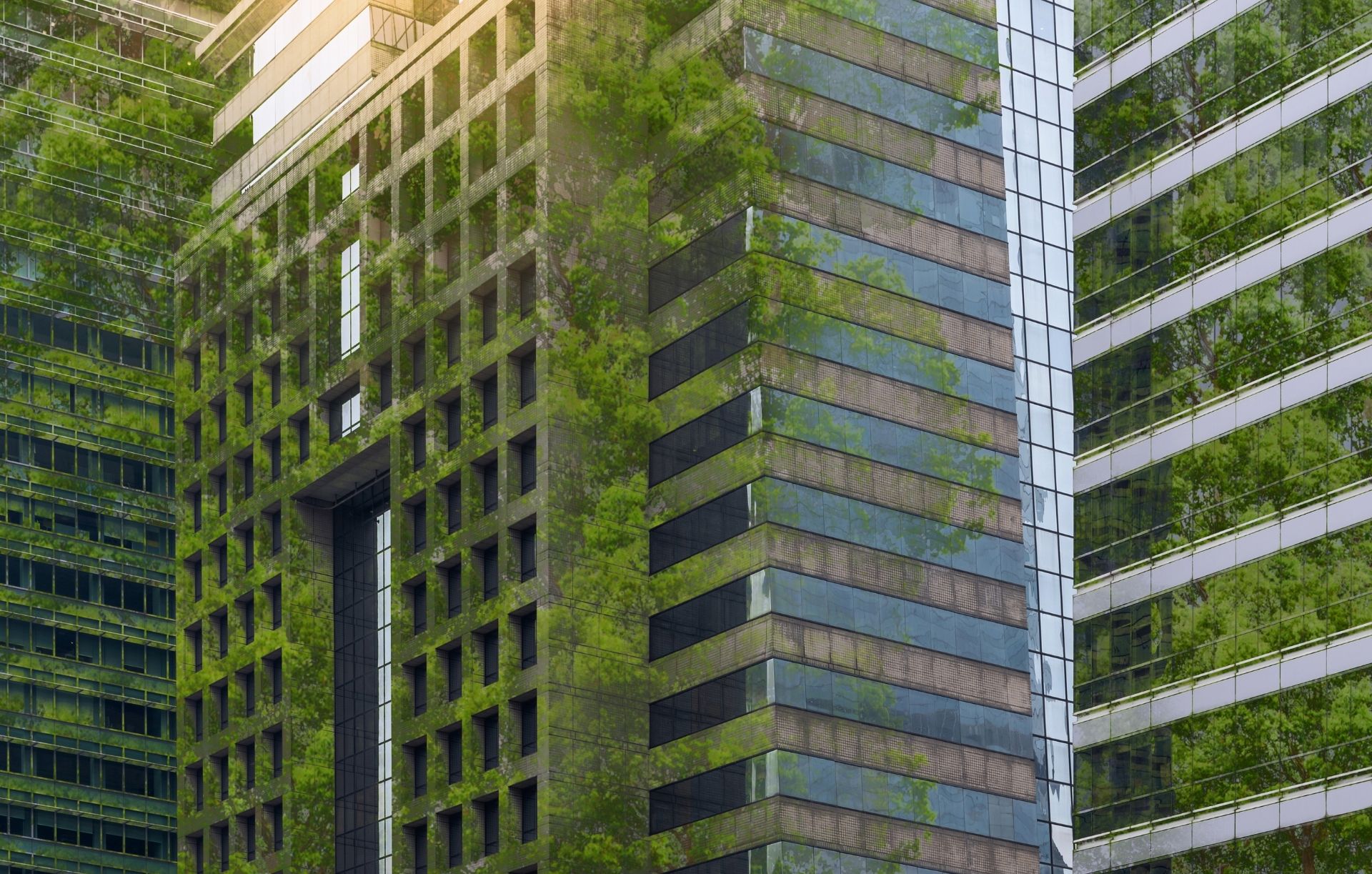 Setor energético será um “enorme aliado” para tornar os edifícios mais sustentáveis, defende CEO da ECOINSIDE