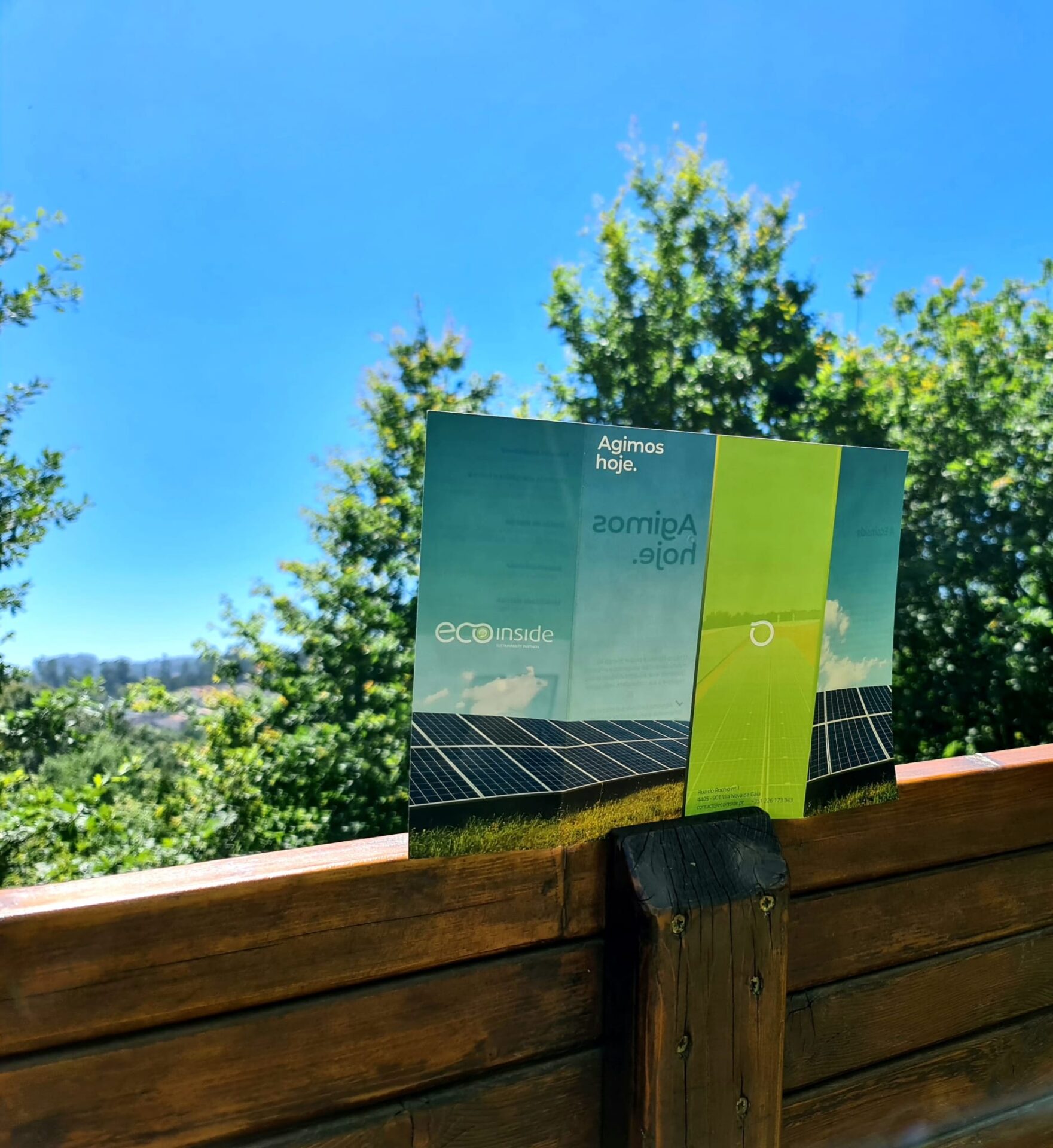 Ferramenta avalia impacto na biodiversidade de centrais fotovoltaicas