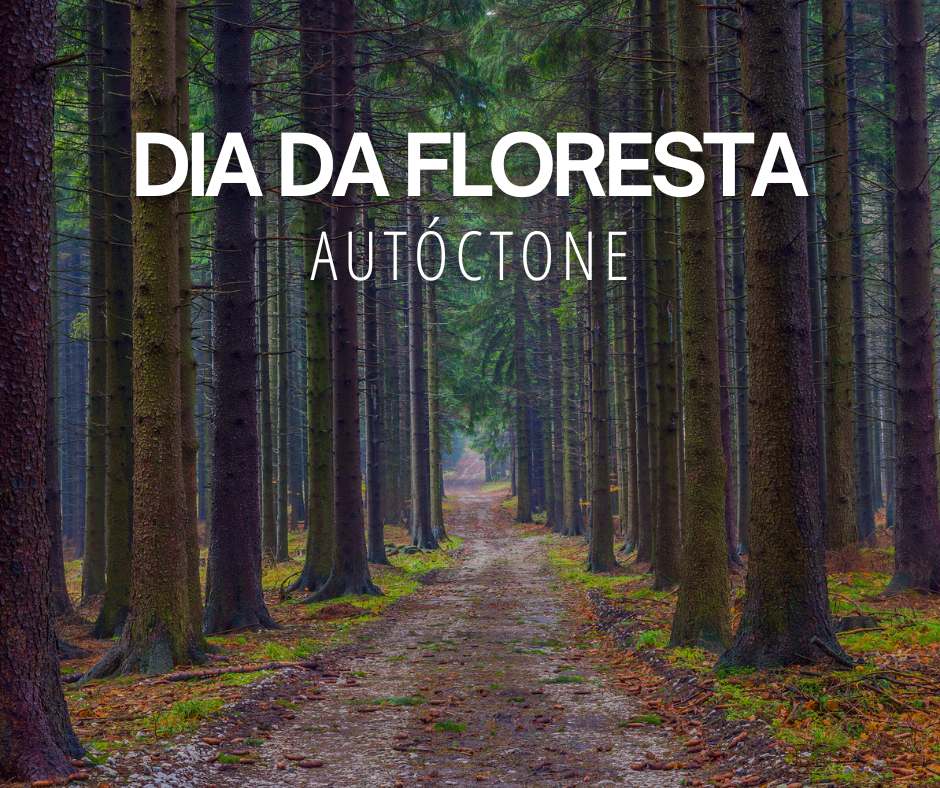 Dia da Floresta Autóctone