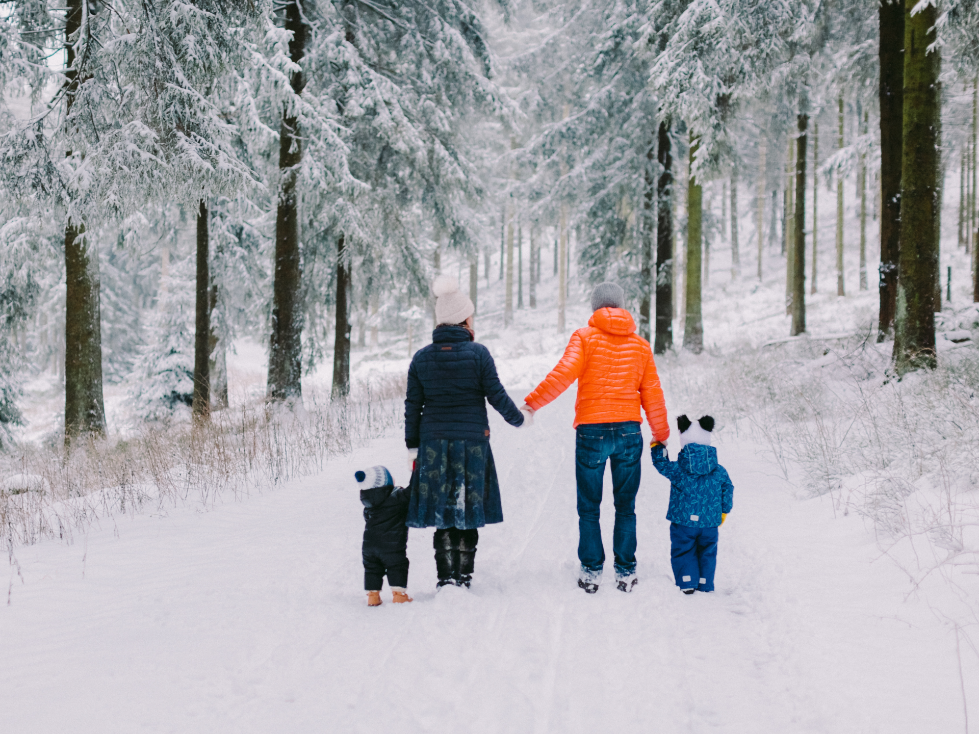 “Eco-Natal” – Ideias e sugestões para um Natal  sustentável