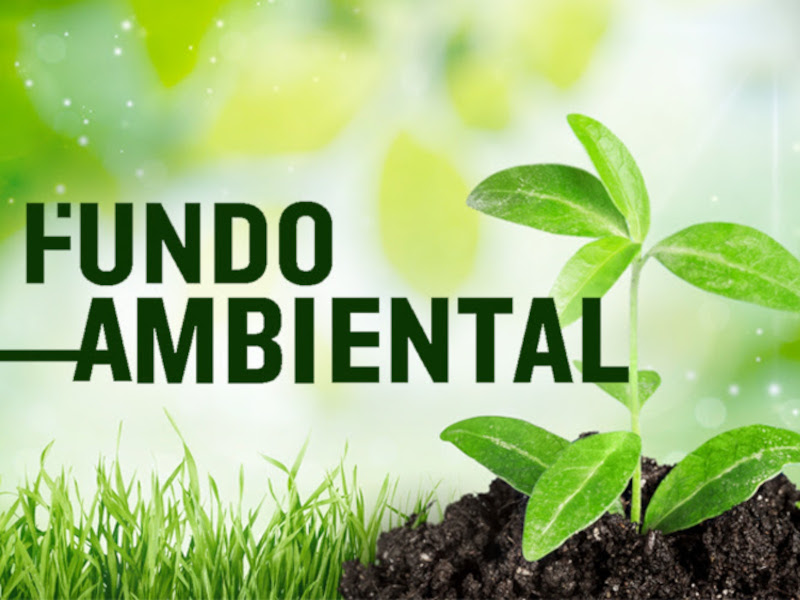 Ecoinside na acessibilidade pela Descarbonização: Fundo Ambiental para 2024